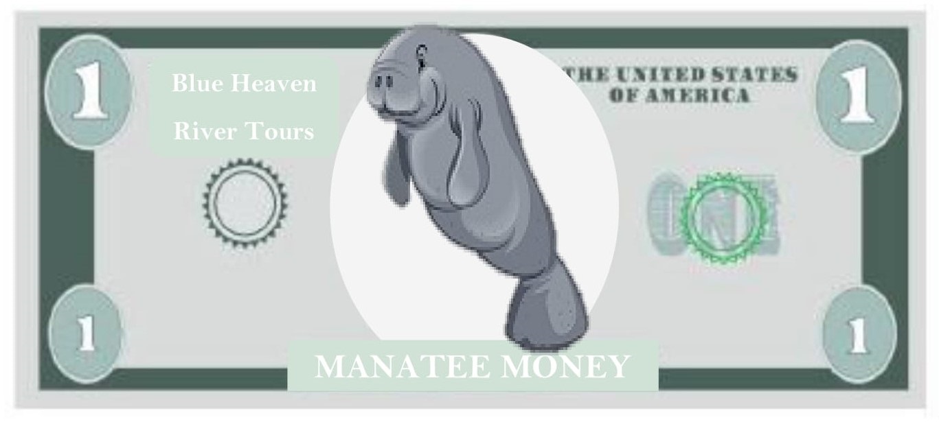manatee money